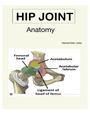 Hip joint anatomy handwritten notes - DocMerit