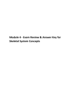 Module 4 - Exam Review & Answer Key for Skeletal System Concepts
