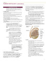 Human Histology: The Male and Female Reproductive System