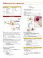 Human Histology: The Nervous and Endocrine System