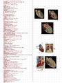 Anatomy 2