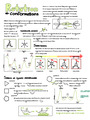 Rotation and Conformations - Organic Chemistry