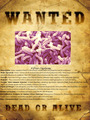 Vibrio Cholerae (Cholera information)