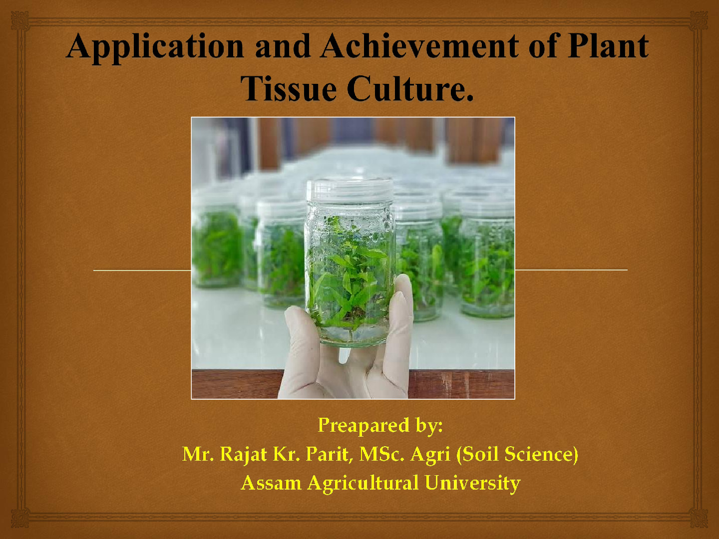 Application and achievements of plant tissue culture.
