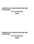ESSENTIALS OF HUMAN ANATOMY AND PHYSIOLOGY 10TH EDITION TEST BANK