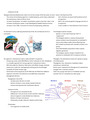 Three domains of life and Eukaryotic cell cycle