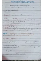 Biology Handwritten notes class 12 ( Reproduction in organism) - DocMerit