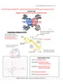 RN/PN Nclex CONCEPT: CARDIOVASCULAR SYSTEM Latest Updated 2022,100% CORRECT