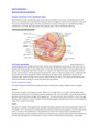 APPLIED SC 17379Unit 9 Learning Aim C Hormonal control of reproduction complete solution