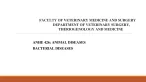 bacterial diseases