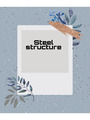 Steel Structure