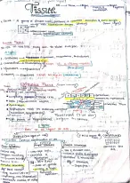 Structural organisation of animals