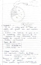 Cell division
