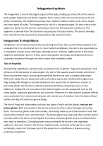 Integument System of Amphibians, Birds and Mammals