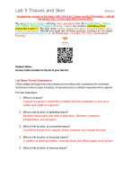 Straighterline Anatomy & Physiology I BIO 201L Lab 5 Tissues and Skin ...