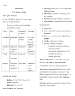 Histology Reviewer