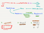 Heart failure pathology and pharmacology