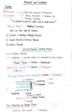 Movement and Locomotion