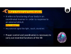 Class 10   [BIOLOGY]  CONTROL AND COORDINATION FULL CHAPTER NOTES AND IMPORTANT QUESTIONS.