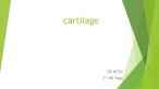 cartilage