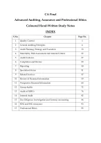 CA Final Advanced Audit Combo – Complete Handwritten Notes | Color-Coded, Flowcharts, Memory Techniques Revision-Friendly