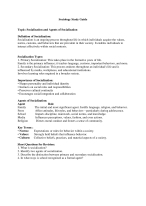 Socialization & Its Agents | University Notes