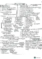 Gastrointestinal Pharmacology
