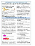 Neural control and coordination