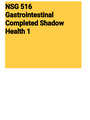 NSG 516 Gastrointestinal Completed Shadow Health 1