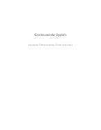 NSG 5003 – Cardiovascular System: Advanced Pathophysiology (2025) South University | Hemodynamics