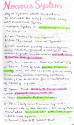 Complete Class 11 Biology Notes on Nervous System with Labeled Diagrams ...