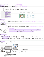 Programação de computadores - Teste 1