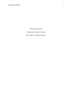 HIST 405N: United States History