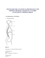 TEST BANK FOR ANATOMY & PHYSIOLOGY 5TH EDITION MICHAEL MCKINLEY VALERIE O’LOUGHLIN THERESA BIDLE