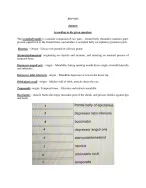 Genetics, Biology, Anatomy and Physiology