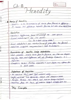 PK’s Heredity Quick Notes High