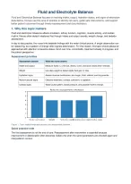 Fluid & Electrolyte Balance Guide