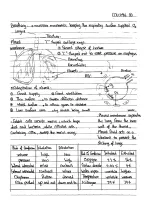 Breathing and respiration, transport and immunity