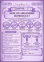 CBSE Class 10th Biology Chapter 7 How Do Organisms Reproduce NCERT