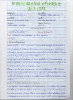 Antropología y estudios culturales.