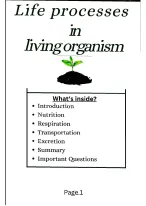 Class 10 life processes in living organisms biology  very important notes