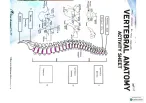 biology notes ( verterbral anatomy)