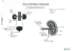 biology form 5 (sistem urinari)