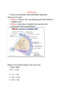 Cell Division Notes