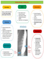 Achalasia, GORD and Eosinophilic oesophagitis SUMMARY NOTES