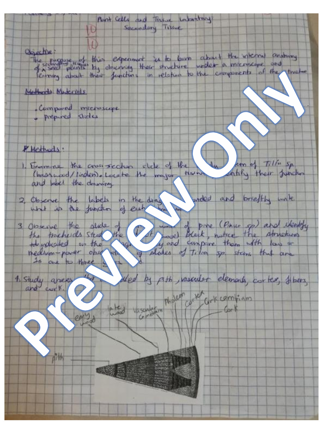 Plant Cells and Tissue (Parts 2 and 3)