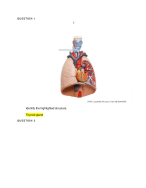 anatomy 2 lab quizzes