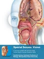 Biology Lab Special Senses Vision ( Lab Manual Senses Eye Atlas) - DocMerit