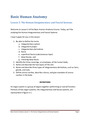 Integumentary and Fascial Systems