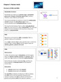 AQA A-Level Biology Chapter 2: Nucleic Acids Notes - DocMerit